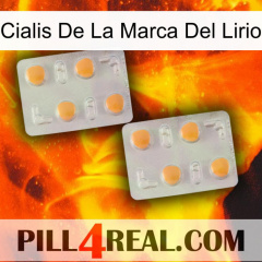 Lily Brand Cialis 25